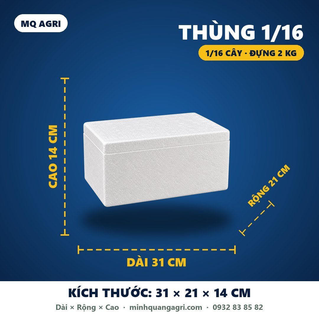 Thùng 1/16 (1/16 cây) đựng 2 kg — 31 × 21 × 14 cm