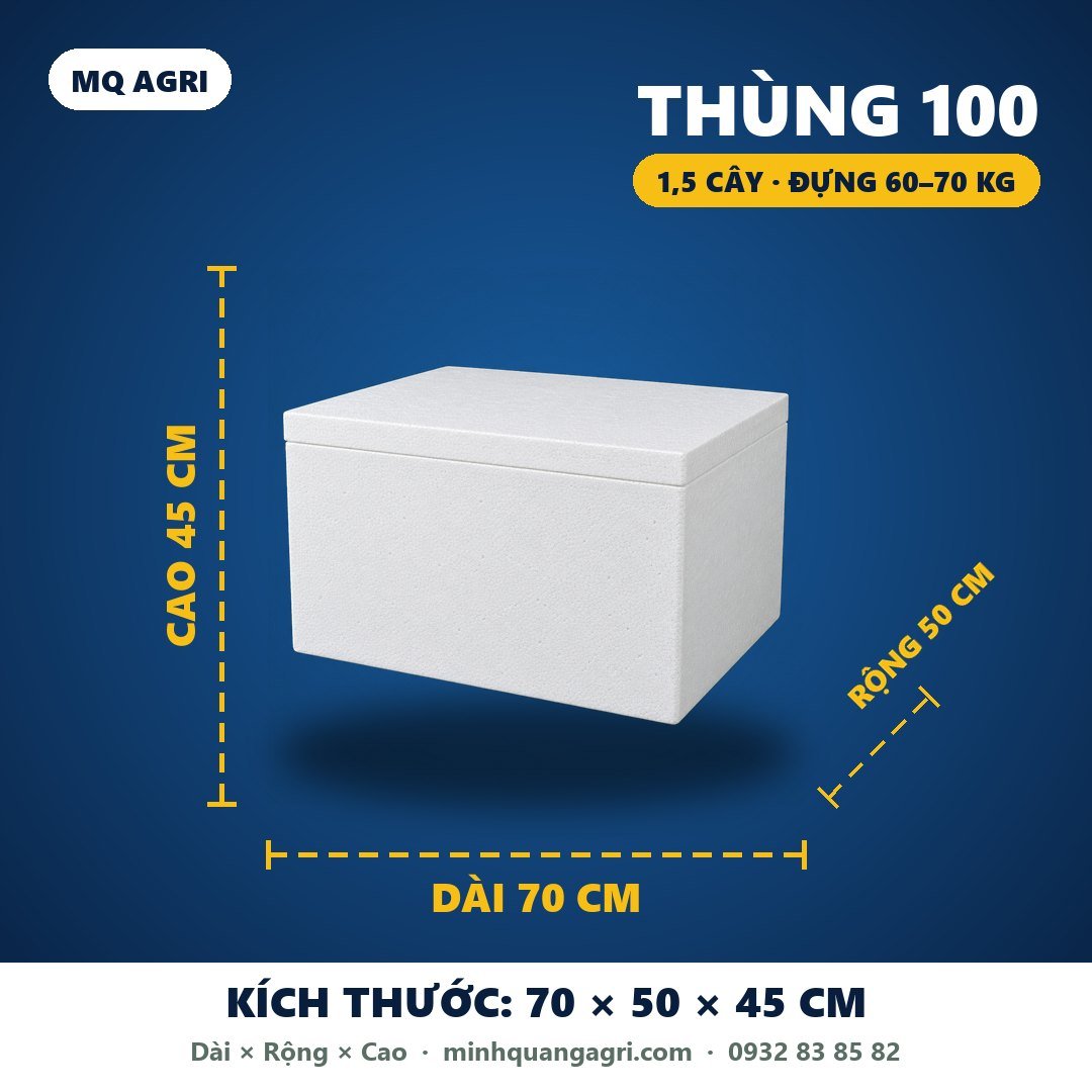 Thùng 100 (1,5 cây) đựng 60–70 kg — 70 × 50 × 45 cm