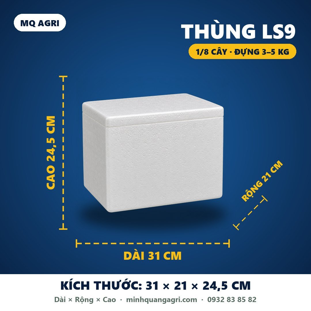 Thùng LS9 (1/8 cây) đựng 3–5 kg — 31 × 21 × 24,5 cm